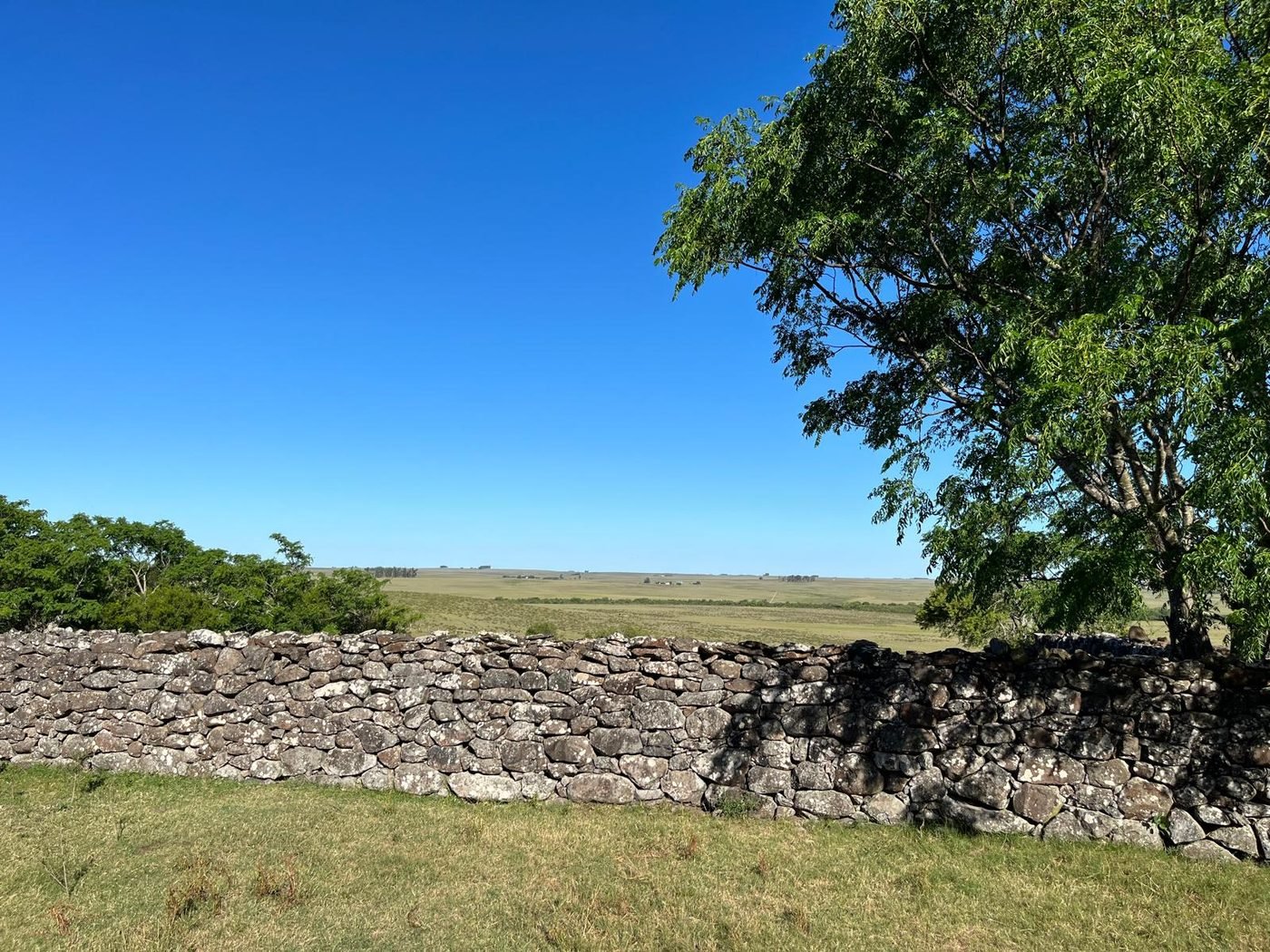 Muro de piedra y campo abierto