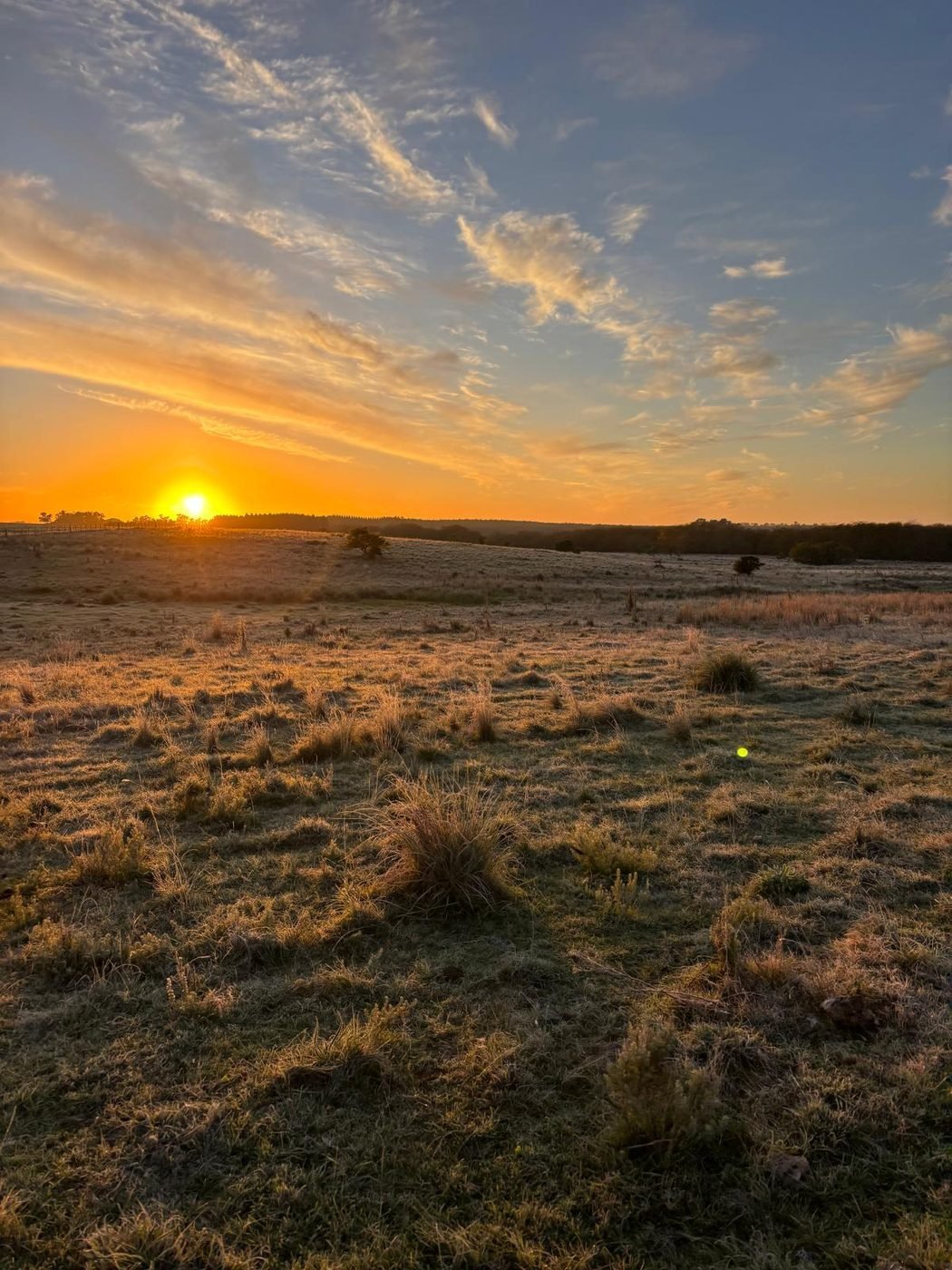 Amanecer en el campo con helada